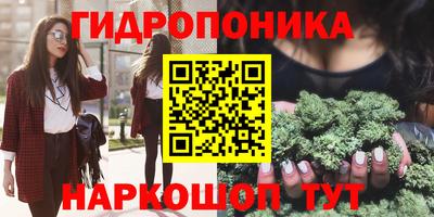 spice Кунгур