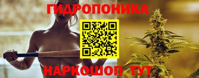 spice Кунгур