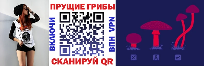 ОМГ ОМГ зеркало Серпухов площадка наркотические препараты продажа наркотиков Галлюциногенные грибы Psilocybe